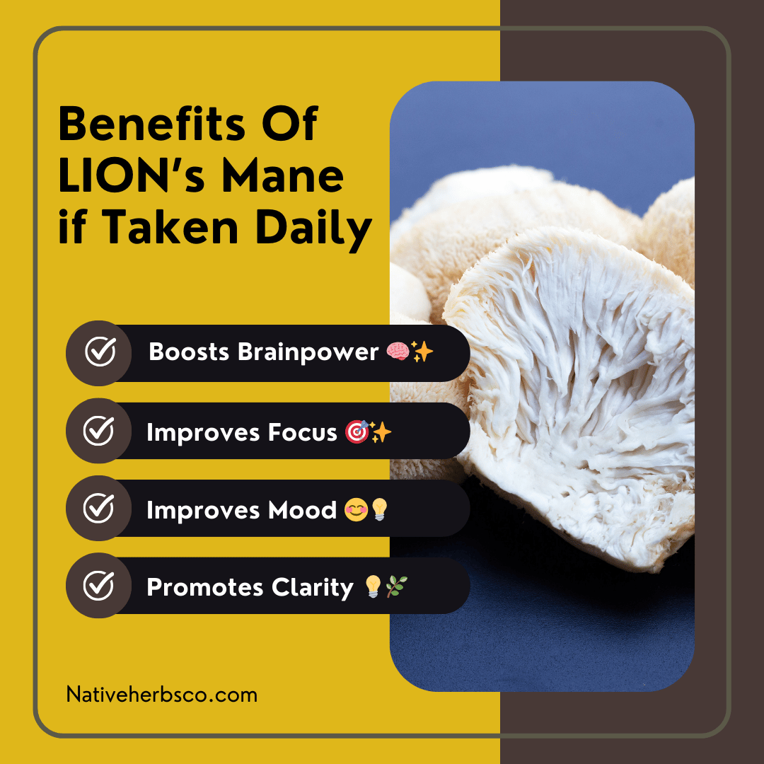 NATIVE HERBS LIONE's MANE MUSHROOM  POWDER - 200gm