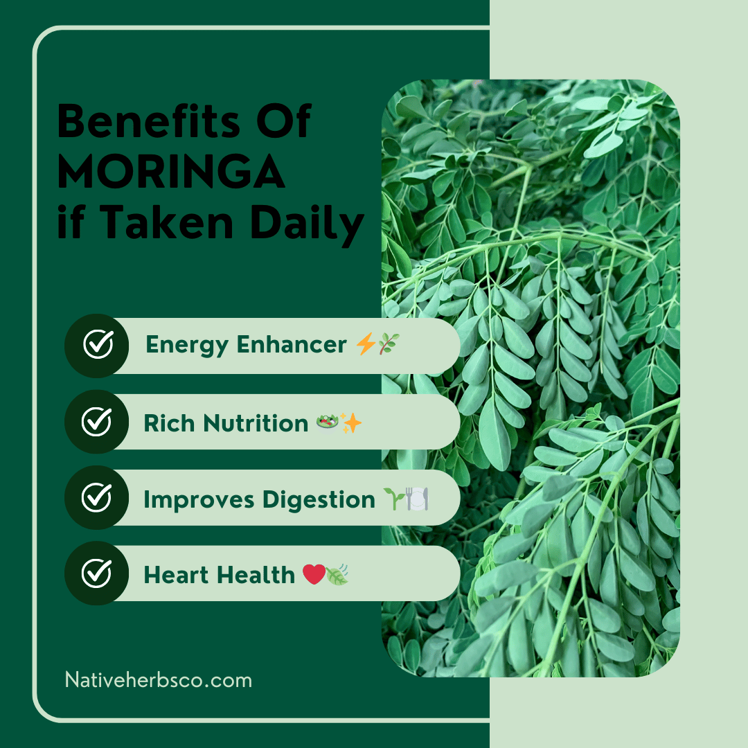 NATIVE HERBS SUPERLEAF MORINGA POWDER - 200gm