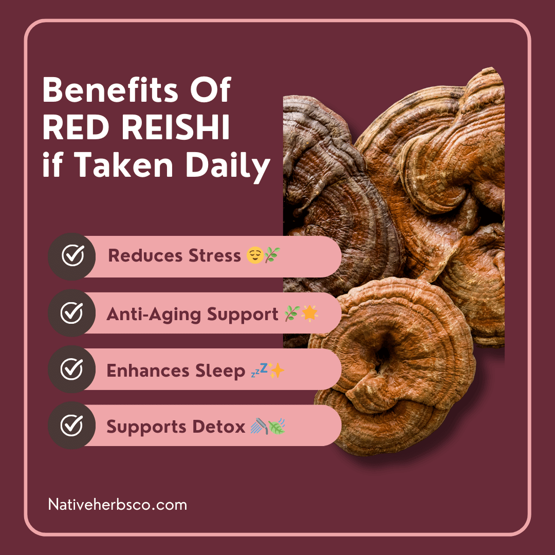 NATIVE HERBS RED REISHI MUSHROOM  POWDER - 200gm